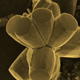 Illustration for article titled Zinc could be a wonder drug after all, just not for the disease we thought